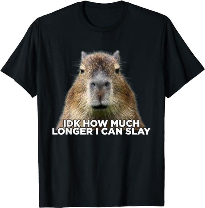 Funny Cute Capybara Shirts, Idk How Much Longer I Can Slay Capybara Sarcastic Meme T-Shirt Menswear Top Casual Classic