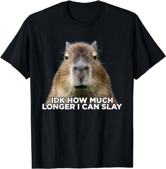 Funny Cute Capybara Shirts, Idk How Much Longer I Can Slay Capybara Sarcastic Meme T-Shirt Menswear Top Casual Classic