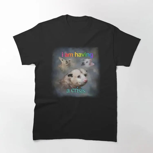Funny Meme Shirt, I am having a crisis possum word art Classic T-Shirt Casual Fabric Hoodie, Sweatshirt | WearSparks.com