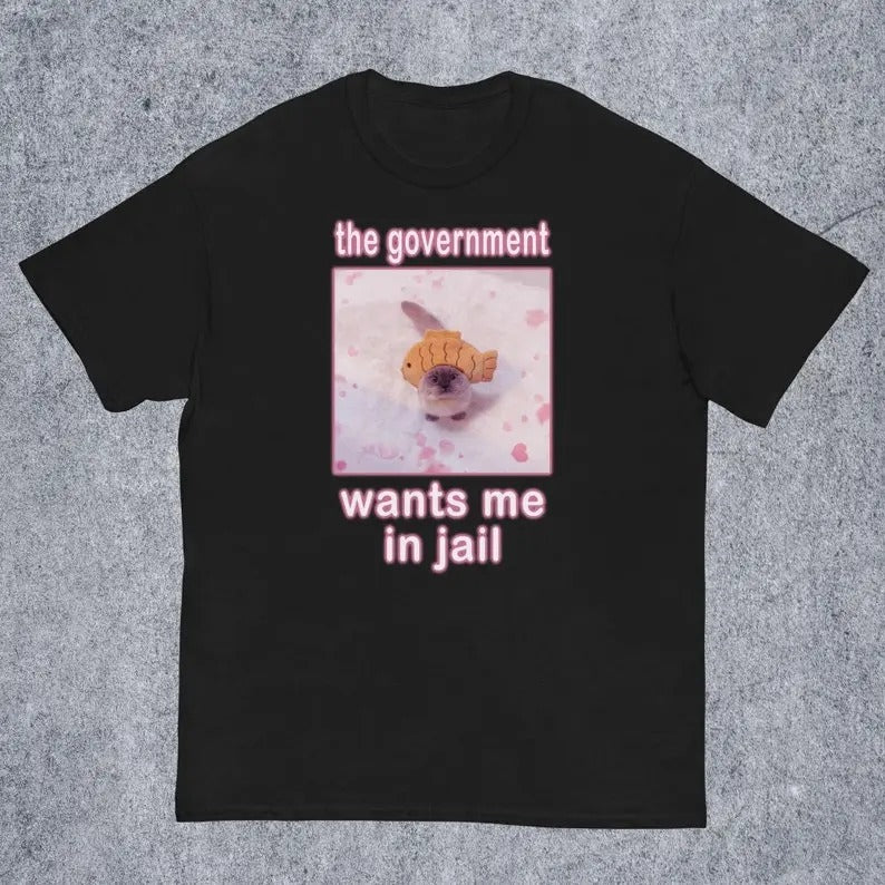 Funny Meme Shirt, The Government Wants Me in Jail Tee, Cat Lover Gift Unisex T-Shirt