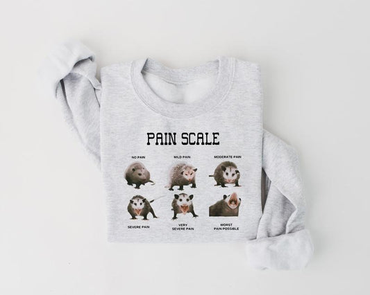 Funny Nurse Sweatshirt, Pain Scale Sweater, Pain Scale Pain Assessment Shirt, Pain Scale Pain Assessment Opossum Trauma Nurse Triage Tee, Nurse Shirt