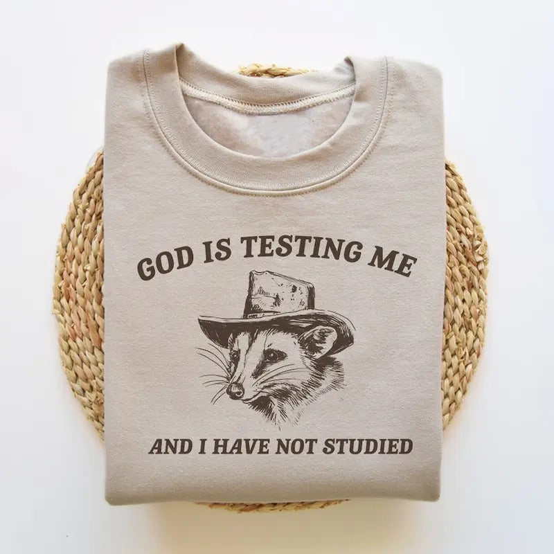 God Is Testing Me And I Have Not Studied, Funny Sweatshirt, Possum Sweatshirt, Vintage Cartoon Sweater Cotton Menswear