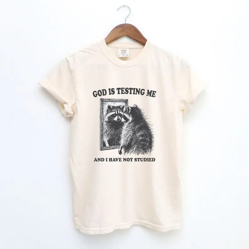 God Is Testing Me Tshirt, Funny Unisex Tee, Possum T-Shirt, Meme T-Shirt, Trash Panda Shirt, Vintage style Shirt, Raccoon Meme Top