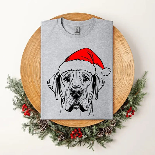Great Dane, Santa, Dog, Christmas, Dog Lover, Pet T-Shirt, Soft Style Tee, Women's Graphic Tshirt