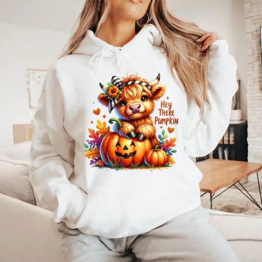 Hey There Pumpkin Hoodie, Fall Hoodie, Pumpkin Hoodie, Autumn Hoodie, Halloween Hoodie, Hoodies For Women, Halloween Gift...