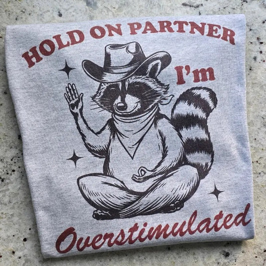 Hold on partner I'm overstimulated Graphic Tee or Sweatshirt