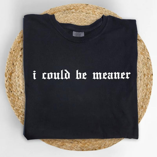 I Could Be Meaner Comfort Colors Shirt, Vintage Funny Humor T-shirt, Sarcastic Graphic Tee, Funny Women Clothing, Sarcasm Outfits, Funny Gift For Her