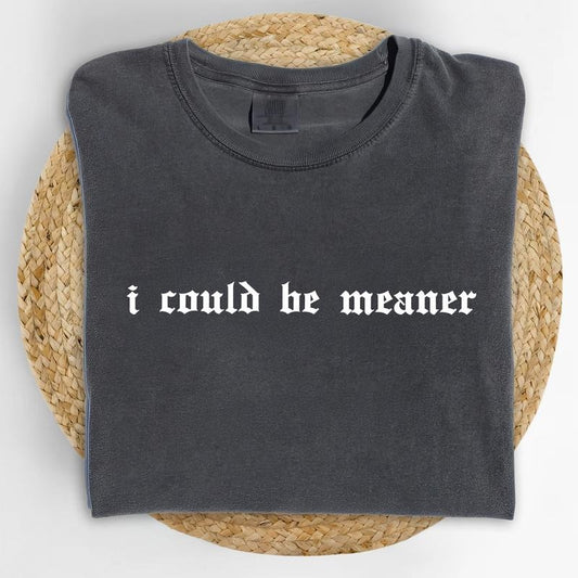 I Could Be Meaner Comfort Colors Shirt, Vintage Funny Humor T-shirt, Sarcastic Graphic Tee, Funny Women Outfits, Sarcasm Clothing, Funny Gift For Her