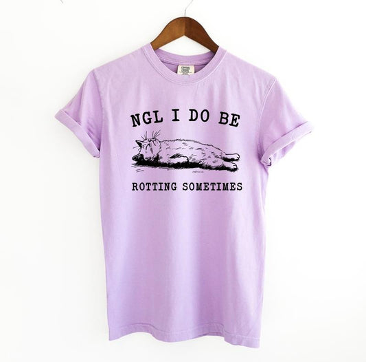 I Do Be Rottin Cat Funny Shirt, Silly Comfort Colors Shirt