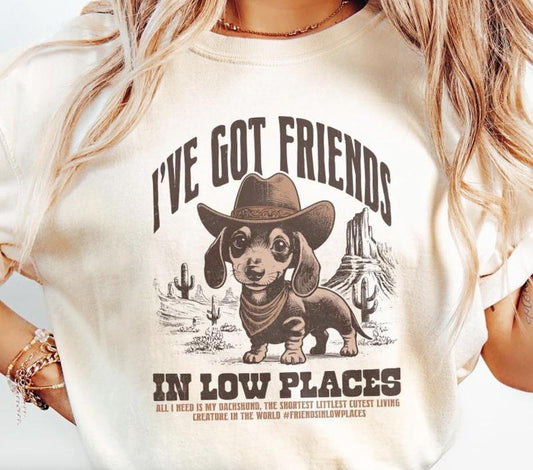 I've Got Friends in Low Places Shirt ~ Unisex Apparel Relaxed Fit Printed In The USA Clothing Womenswear Casual Comfort Cotton Top Athletic Boho Chic