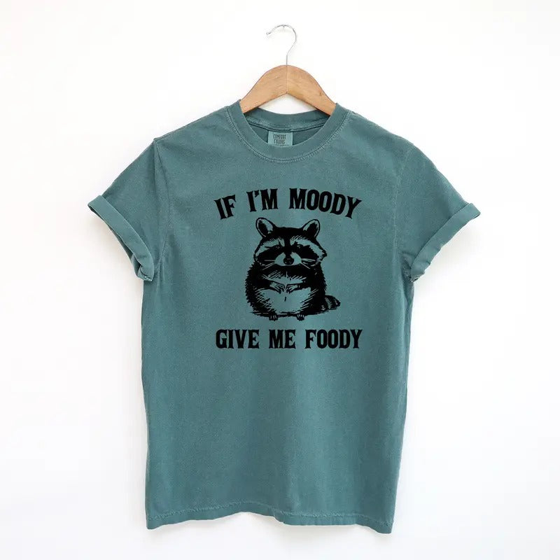 If I'm Moody Give Me Foody Funny Shirt, Funny Raccoon Comfort Colors Shirt
