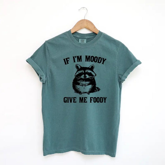 If I'm Moody Give Me Foody Funny Shirt, Funny Raccoon Comfort Colors Shirt