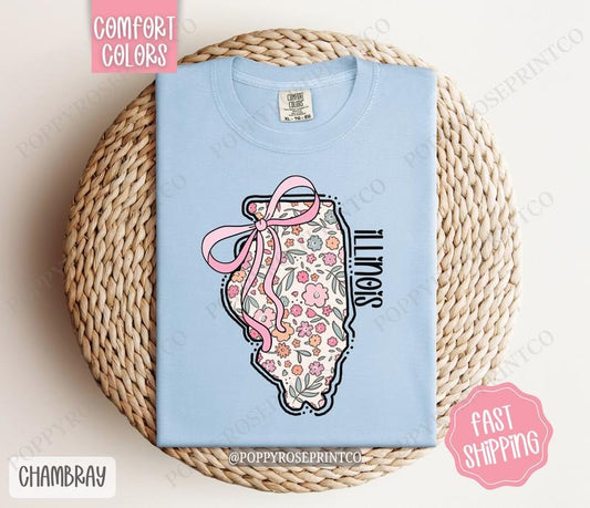 Illinois Comfort Colors State Tshirt, Cute Illinois Shirt, Illinois Tshirt, Illinois Shirt