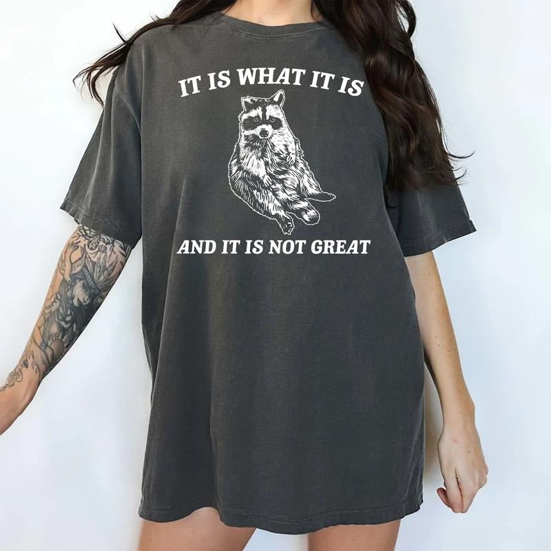 It Is Not Great Raccoon Shirt Retro, Funny Raccoon Meme Shirts, Vintage Raccoon Tee, Sarcastic Shirt, Trash Panda Tee, Weird Joke Shirt, Casual Women's Tops, Oversized Womenswear