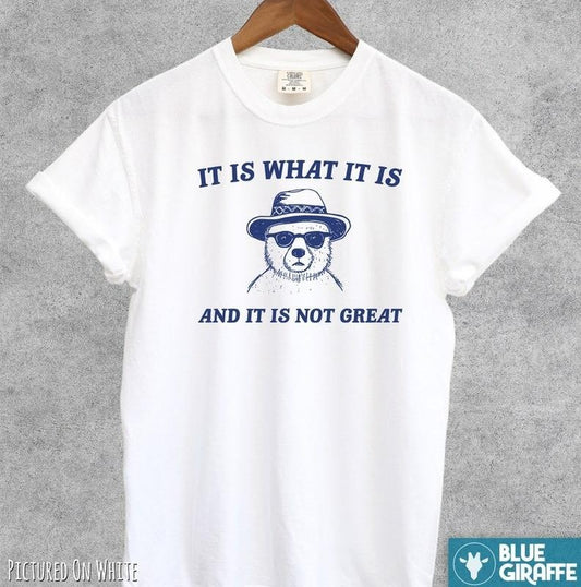 It Is What It Is And It Is Not Great Funny Shirt, Vintage T Shirt, Meme T Shirt
