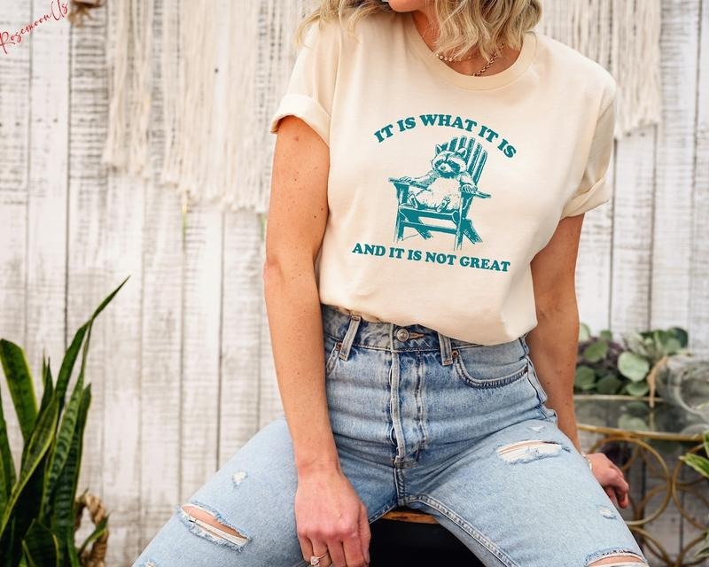 It Is What It Is And It Is Not Great Shirt, Raccoon Meme Shirt Hoodie, Sweatshirt | WearSparks.com