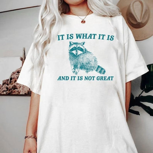 It Is What It Is And It Is Not Great Shirt, Vintage Comfort Colors Shirt, Raccoon Meme Shirt, Funny Trash Panda Shirt...