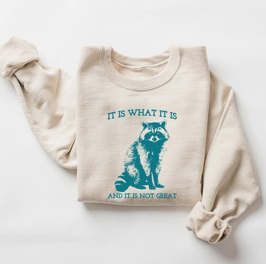 It Is What It Is And It Is Not Great Sweatshirt, Vintage Sweatshirt, Raccoon Sweatshirt, Mental Health Shirt, Trendy Meme Sweatshirt, Funny Shirt Women