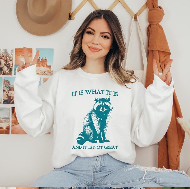 It Is What It Is And It Is Not Great Sweatshirt, Vintage Sweatshirt, Raccoon Sweatshirt, Mental Health Sweatshirt, Funny  sweater