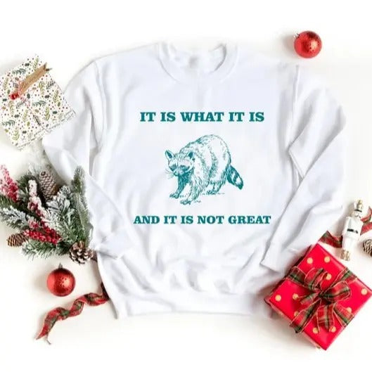 It Is What It Is And It Is Not Great Sweatshirt, Vintage Sweatshirt, Raccoon Sweatshirt, Mental Health Sweatshirt, Funny...