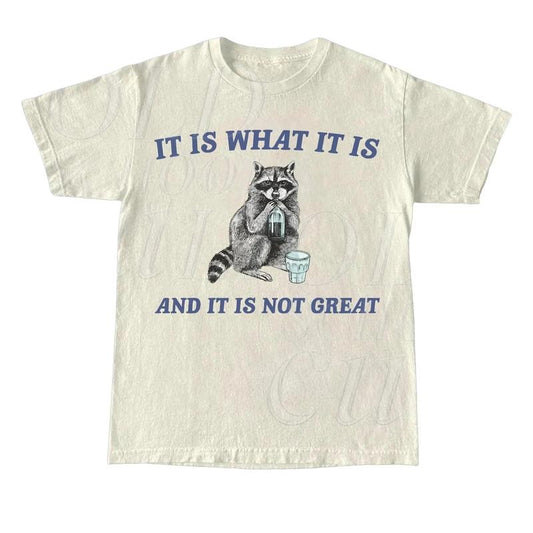 It Is What It Is And It Is Not Great Vintage T Shirt, Funny Raccoon Shirt, Meme T Shirt, Cartoon Tee Retro Minimalistic Tee, Funny Gift