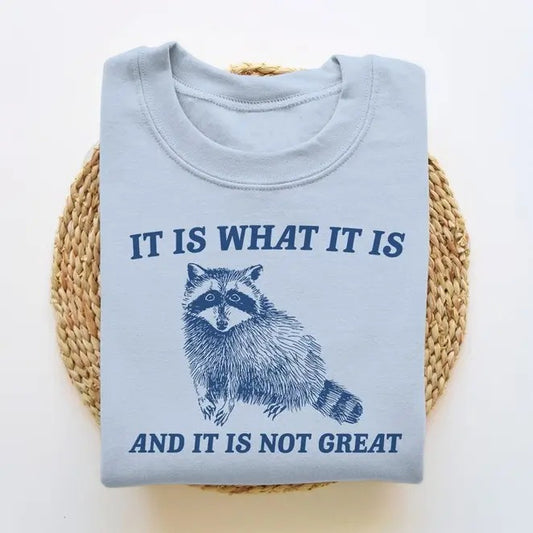 It Is What It Is And It Is Not Great, Funny Sweatshirt, Raccoon Sweatshirt, Cartoon Meme Top, Vintage Cartoon Sweater, Unisex