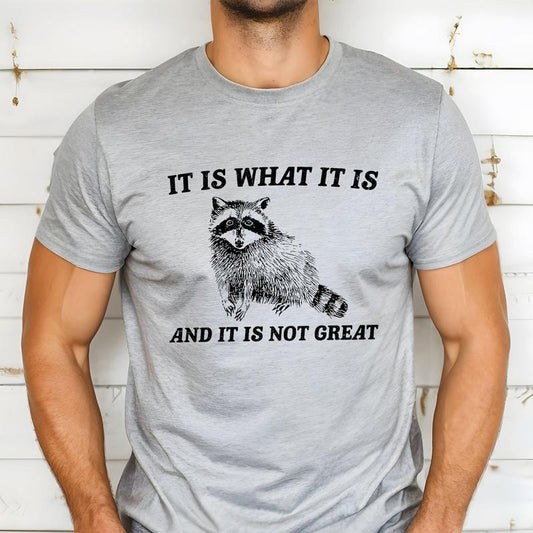 It Is What It Is And It's Not Great, Raccoon, Funny, Aesthetic, Meme Soft T-Shirt, Women's Crew Neck, Crewneck Hoodie,...