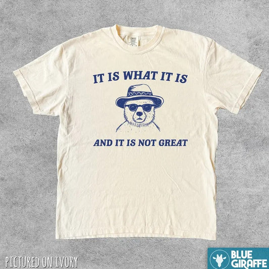 It Is What It Is Funny Shirt, Vintage Comfort Colors T-Shirt