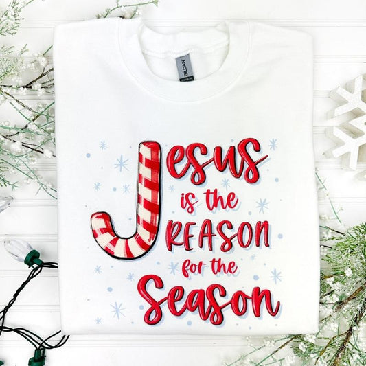 Jesus Is The Reason Sweatshirt T-Shirts, Hoodie | WearSparks.com