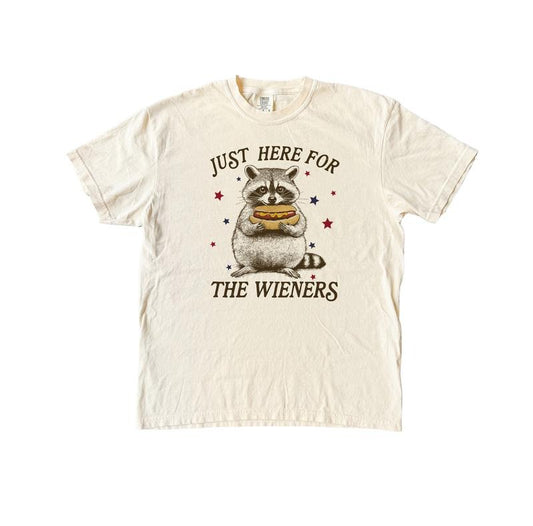 Just Here For The Wieners 4th Of July Tshirt, Raccoon Hotdog Comfort Colors Shirt, Raccoon Meme Tshirt