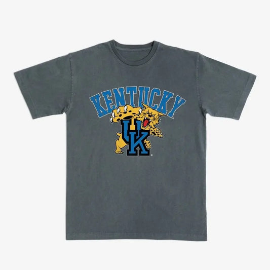 Kentucky Big Logo Heavy Tee, NCAA Shirt, Vintage Football Shirt, Sport Tee, Graphic Shirt For Men, For Women Tshirt Top