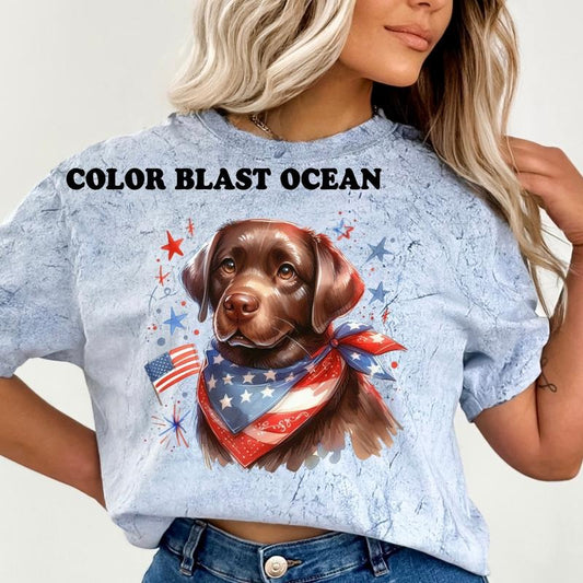 Labrador Patriotic Dog Shirt ~ Unisex Apparel Relaxed Fit Printed In The USA Clothing Womenswear Casual Comfort Cotton Top Athletic Boho Chic