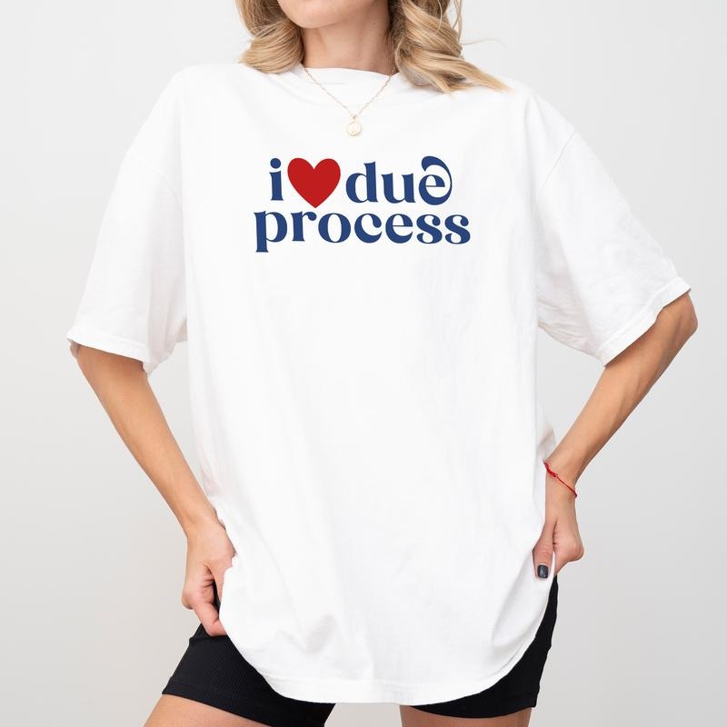 MAPTEES I Love Due Process Comfort Colors Shirt, Pro Immigration T-shirt, Human Right Graphic Tee, Subtle FDT Clothing, Equality Outfits