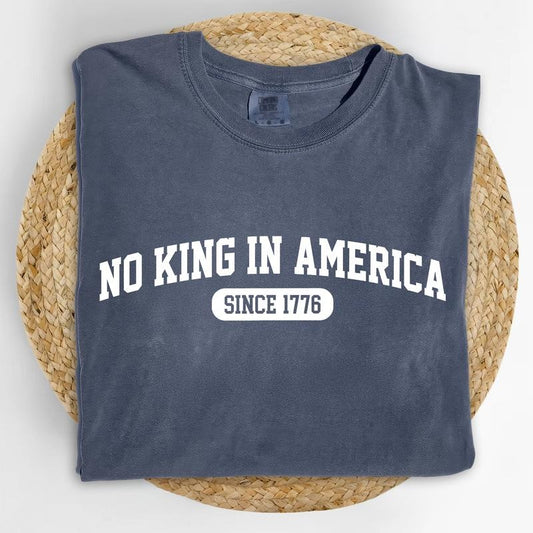 MAPTEES No Kings In America Comfort Colors Shirt, Protect Democracy T-shirt, Human Rights Graphic Tee, Activist Unisex Tee, Liberal Democrat Shirt