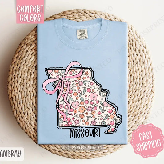 Missouri Comfort Colors State Tshirt, Cute Missouri Shirt, Missouri Tshirt, Missouri Shirt