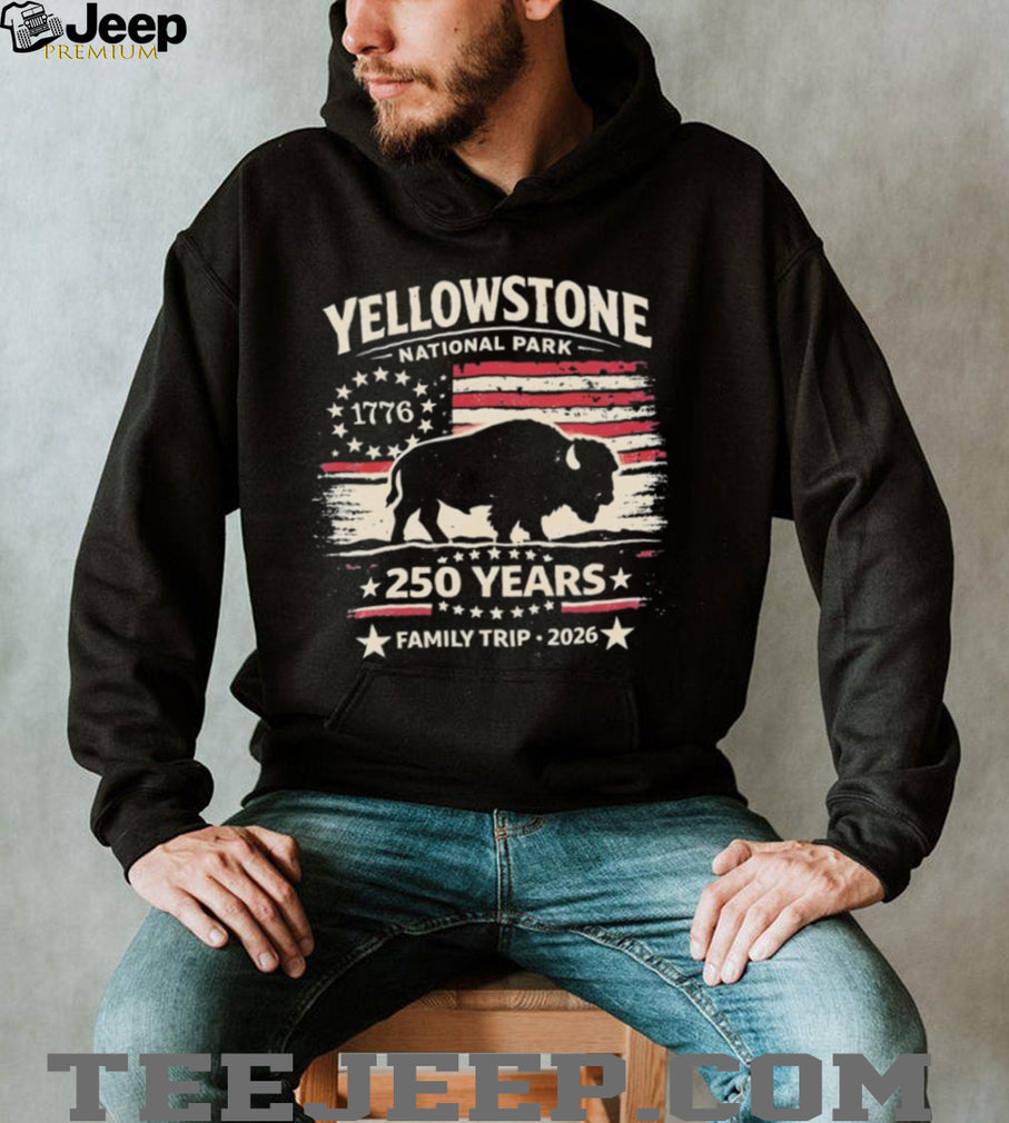 National Park 250 Years Family Trip Bison 1776 2026 American flag shirt
