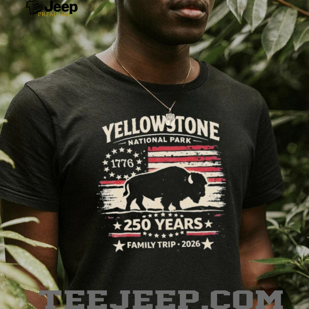 National Park 250 Years Family Trip Bison 1776 2026 American flag shirt