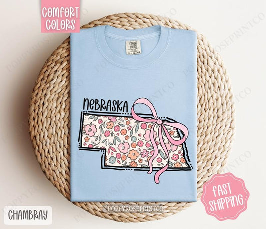 Nebraska Comfort Colors State Tshirt, Cute Nebraska Shirt, Nebraska Tshirt, Nebraska Shirt