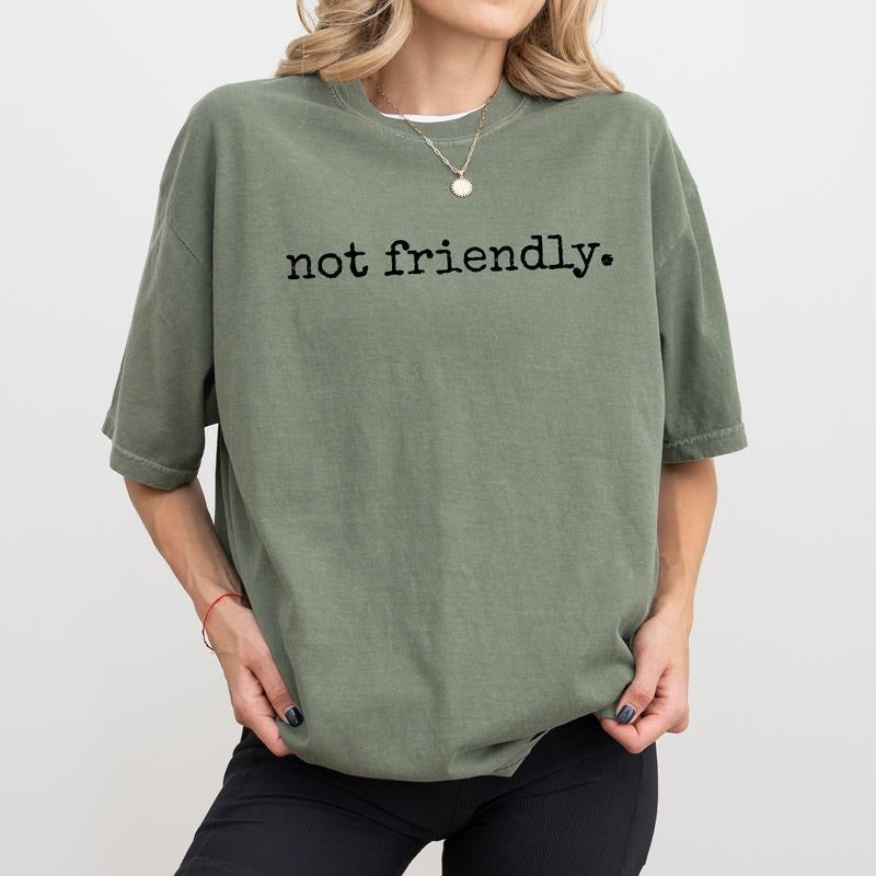 Not Friendly Comfort Colors Shirt, Funny Not Friendly Don't Touch Graphic Tee, Sarcastic Women Unhinged Tees, Funny Saying T-shirt