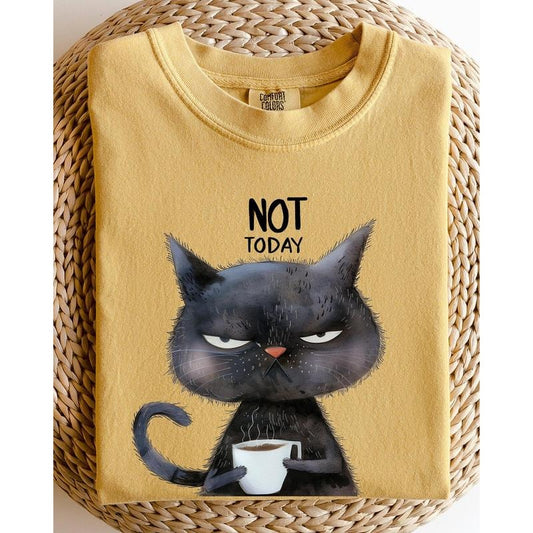 Not Today, Cat, Grumpy, Coffee, Funny, Meme Shirt, Women's Comfort Color Tee, Tshirt