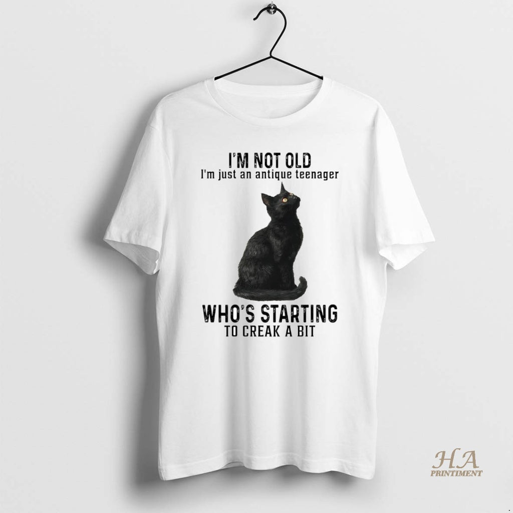 Official Cat Im Not Old Im Just An Antique Teenager Whos Starting