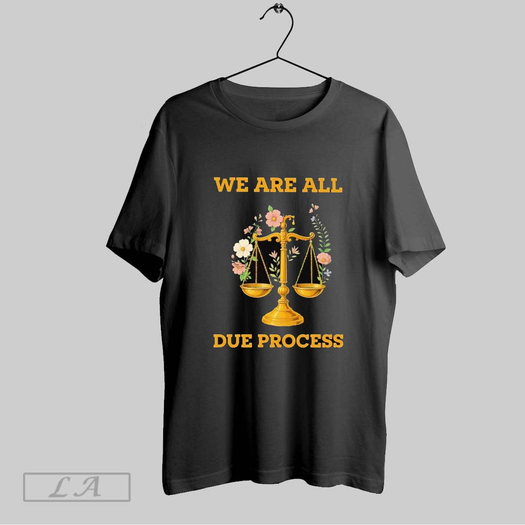 Original Justice Scales We Are All Due Process