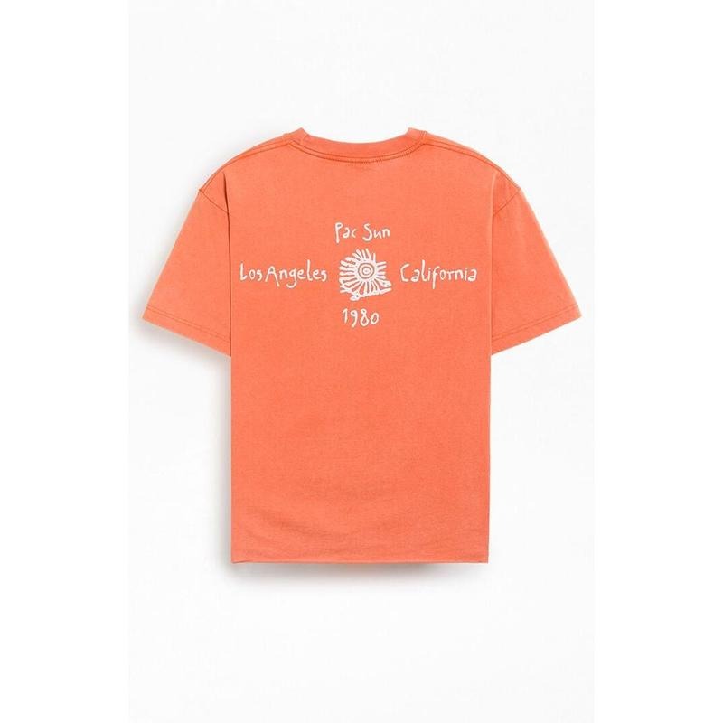 Pacsun Men's Flin T-Shirt - Multicolor