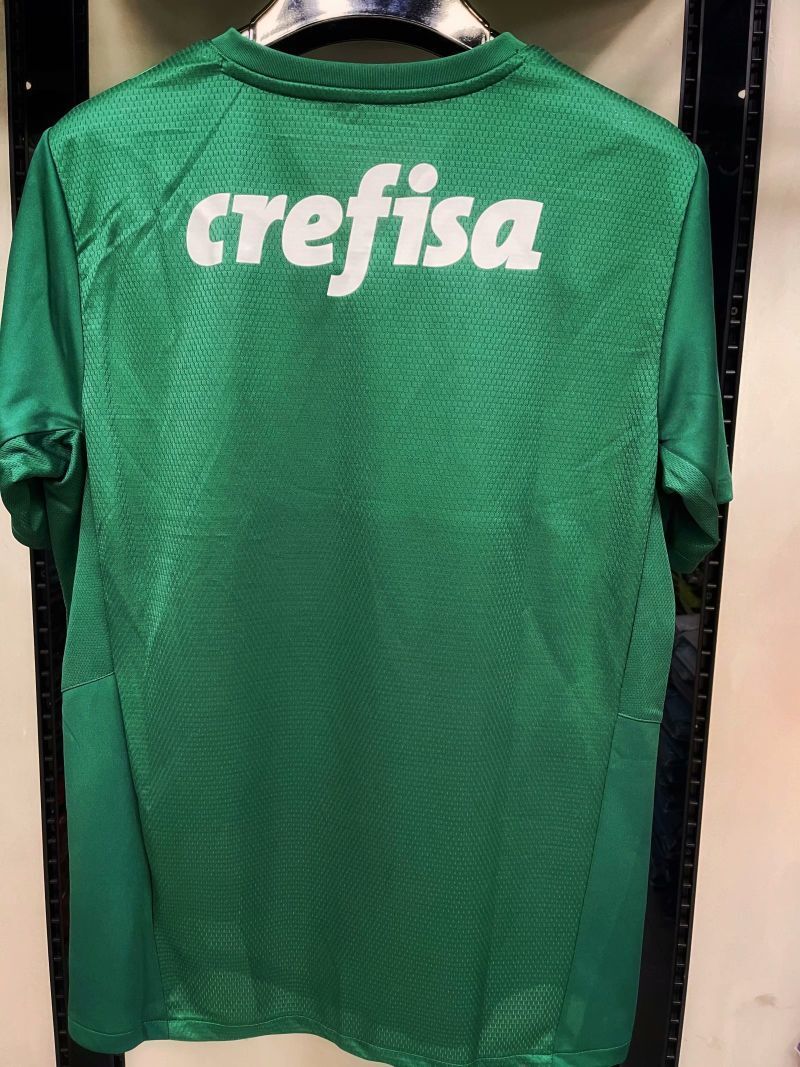 Palmeiras Style 1