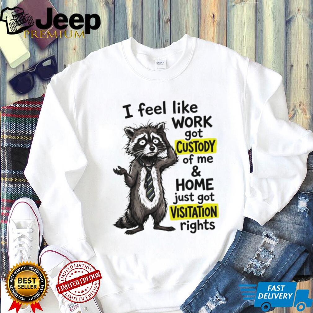 Raccoon I feel like work got custody of me and home just got visitation rights shirt
