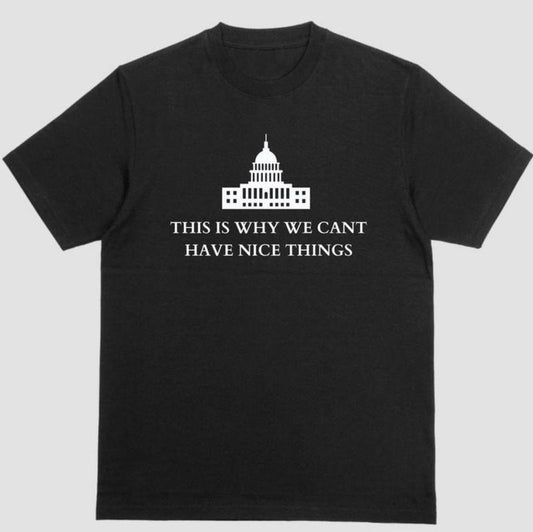 Short sleeve shirt, THIS IS WHY WE CANT HAVE NICE THINGS Menswear Top Hoodie, Sweatshirt | WearSparks.com