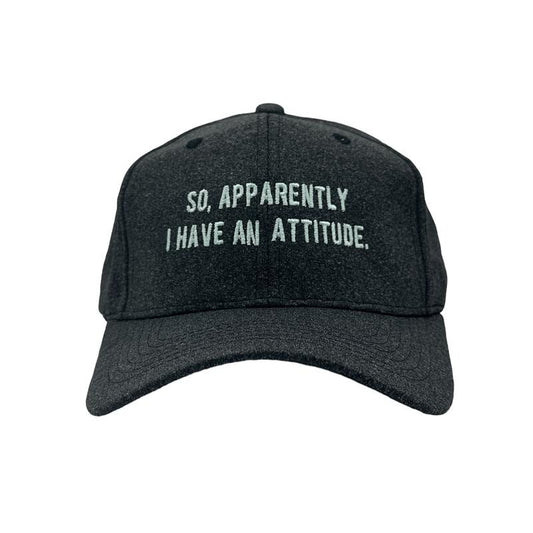 So Apparently I Have An Attitude Hat Funny Graphic Cap Funny Hats Funny offensive  Novelty Caps for Men Standard