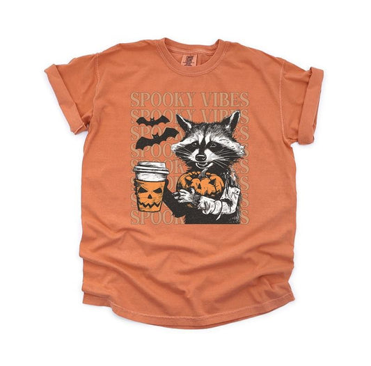 Spooky Vibes Raccoon Vintage Shirt, Autumn Comfort Colors Shirt