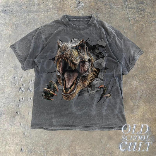 T Rex Vintage Graphic T-Shirt, Retro 90s Style T-Rex Dino T-Shirt, Washed Retro 2000s Nature Dinosaur Shirt, Unisex Adult Y2k Shirt,Dad Gift