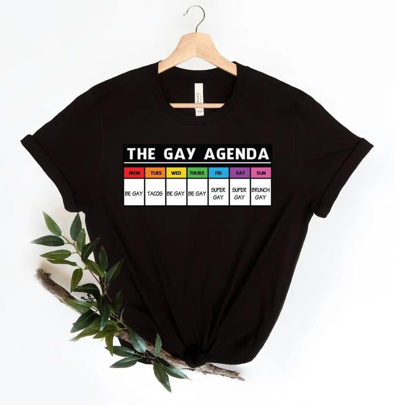 The gay agenda shirt, Gay Shirt, LGBT Shirt, Bisexual Shirt, Lesbian Shirt, vintage shirt, LGBT Gift, Pride Rainbow...